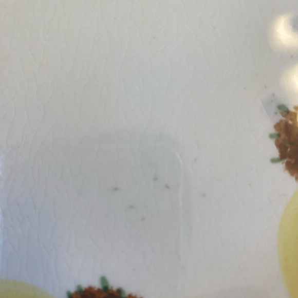 Vintage Blue Ridge Southern Potteries Dinner Plate - Picture 4 of 12